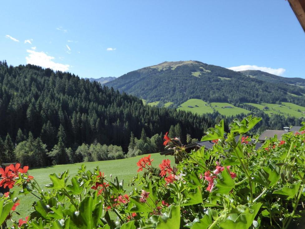 Alpbacher Appartementhaus Johannes 外观 照片